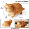 Solid Orange Persian, Ragdoll, Somali, and Blue Short-haired Cat Simulation Models