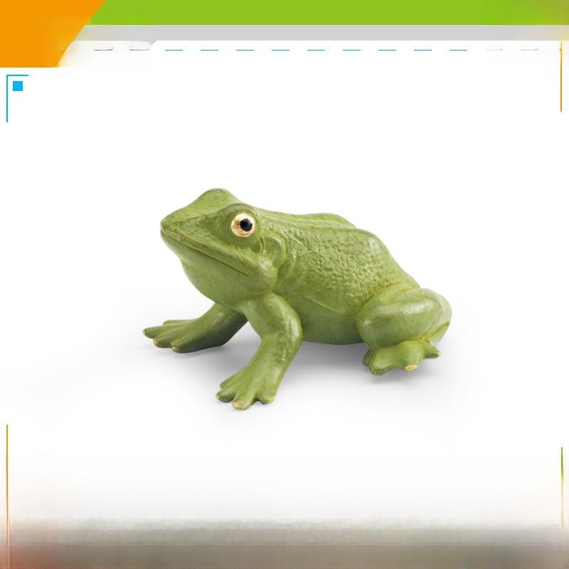 Wildlife Pvc Animal Models With Realistic Frog Collection For Children Educational Decor