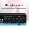 Newmine R3 Bluetooth Amplifier Kit with ND-11D Speakers CN plug (adapter included)