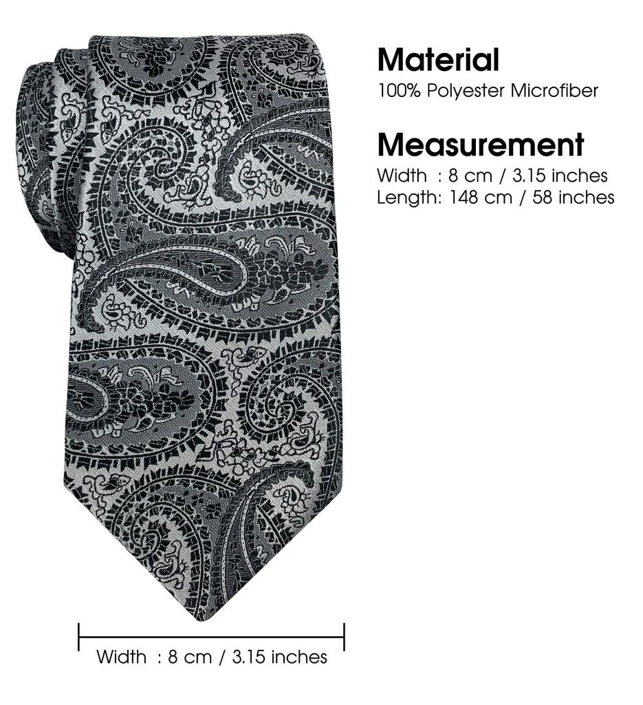 (RETREEZ) Paisley Art Pattern Microfiber Woven Fabric Men's Tie - Black & Silver
