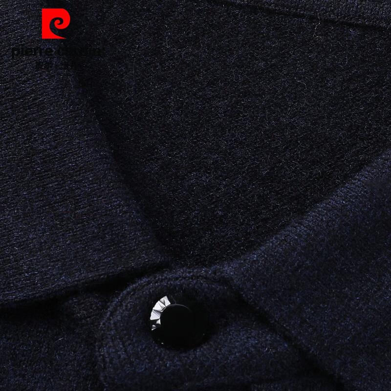 Pierre Cardin Men's 100% Pure Wool Polo Collar Sweater