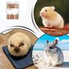 Chinchilla Bedding Absorbing Natural Odor Control Pet Litter Small Animal Enclosures Substrate For Squirrels Mices Bunny Gerbils