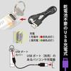 OHM Electric USB Rechargeable LED Mini Flashlight with Dimmable and UV Black Red Red ANSI Skeleton and Key Ring Included Multi-Light Color-Adjustable
