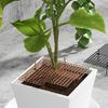Cuttable Plant Pot Guards Round/Square Plastic Flower Pot Cover 19cm/30cm/52cm Rust-proof Plant Protection Mesh