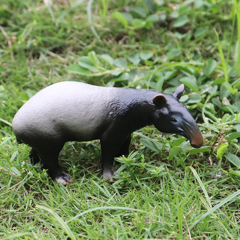 Oenux Wild Boar Tapirus Indicus Porcupine Animals Simulation Model Action Figures Figurine Educational Collection Kids Toy Gift