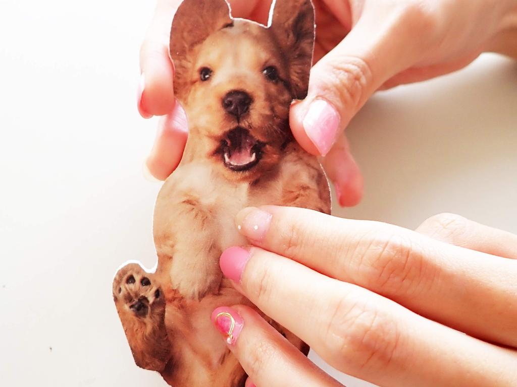 SUCK UK Dog Nail Files (Orange)