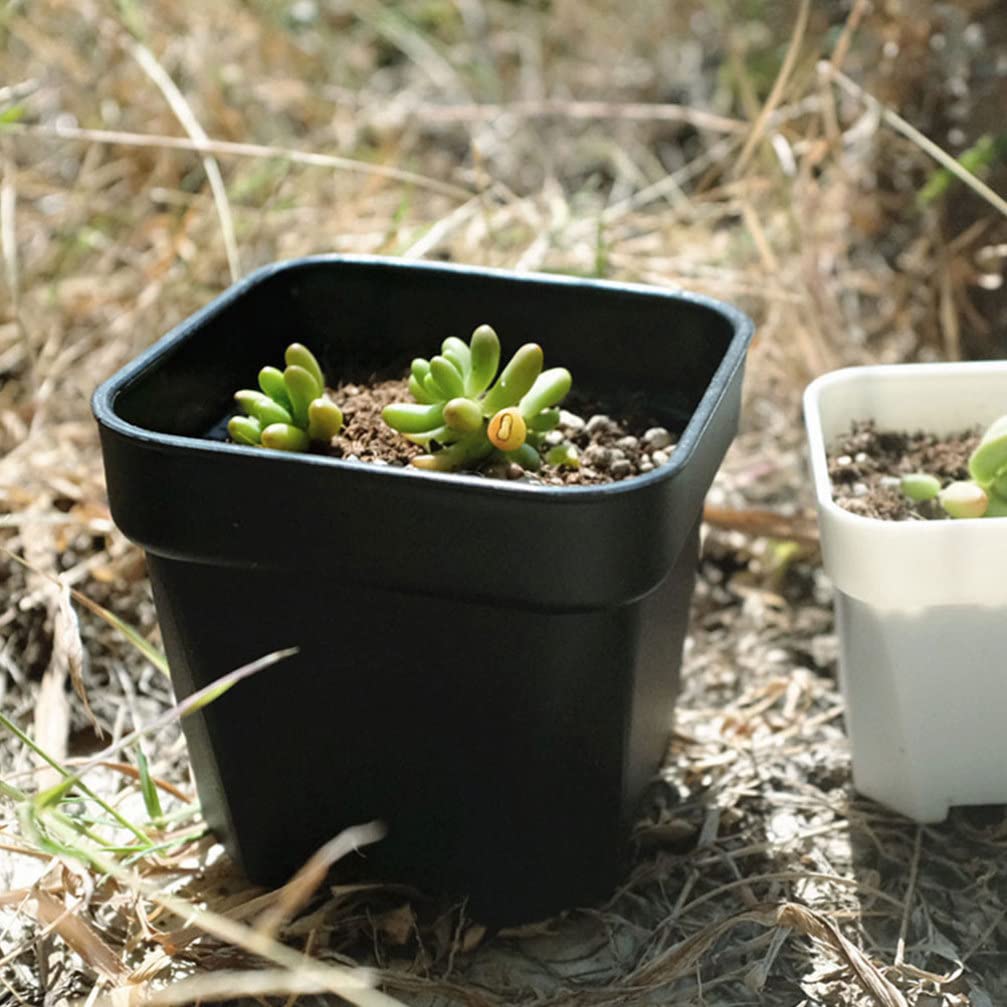OUNONA Stylish Black Plastic Plant Set with for Succulents and Gardening Supplies Small, Mini, Pots, 15-Piece Holes, Square, Cacti, Lightweight,