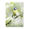 Spring Sunflower Sakura Windmill Farmhouse Church Green Landscape Poster Wall Art Canvas Painting For Living Room Home Decor