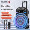 Thunder King CR-1501 15-inch Portable RGB PA Speaker