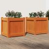 VidaXL Planters 2 Pcs Wax Brown Solid Pine Wood 837409
