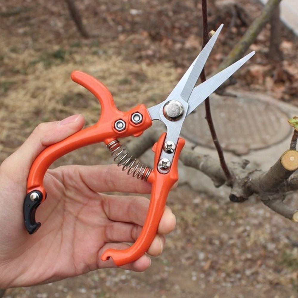 Straight Fruit Picking Scissors with Safety Buckle Plant Cutter Flower Scissors Pruning Shear  home