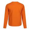 Regatta Childrens/Kids T-Shirt
