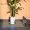 6/12 pezzi Tappetino per escrementi di gatto Tappetino deterrente per animali domestici con punta Tappetino per addestramento animali domestici per tenere lontani gatti e cani da piante, mobili, uso interno ed esterno