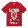 Wales Cymru Boys Short Pyjama Set