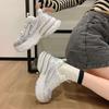 Small platform shoes casual sports shoes women's 2025 spring and autumn new silver inner height increase Paris dad shoes