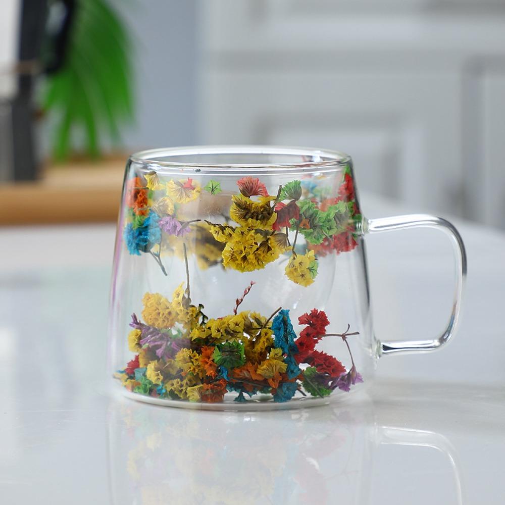 Double Insulated Dried Flower Glass Cup Coffee Tea Cup Clear Glass Cup Double Wall Mug  Household