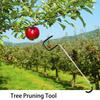 Durable Fruit Tree Training Clips With Plastic Coating Safe Branch Angle Adjustment For Orchards