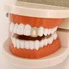 Grillz Singolo Dente Zircone Iced Out - Gioielli Props Denti Rapper Halloween Bling