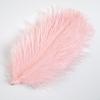 10Pcs Natural White Ostrich Feathers 10-15cm 15-20cm 25-30cm 30-35cm Wedding Party Home Decoration Ostrich Plumes Craft Supplies