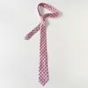 Long Leopard Print Necktie Korean JK Uniform Necktie Belt Accessories  Uniform Suit