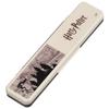 Skater Chopsticks and Spoon Combo Set, 18cm, Antibacterial, Bento Box, Adult Size, Silent Silicone Cushions, Made in Japan, Harry Potter Map, CCS3SAAG