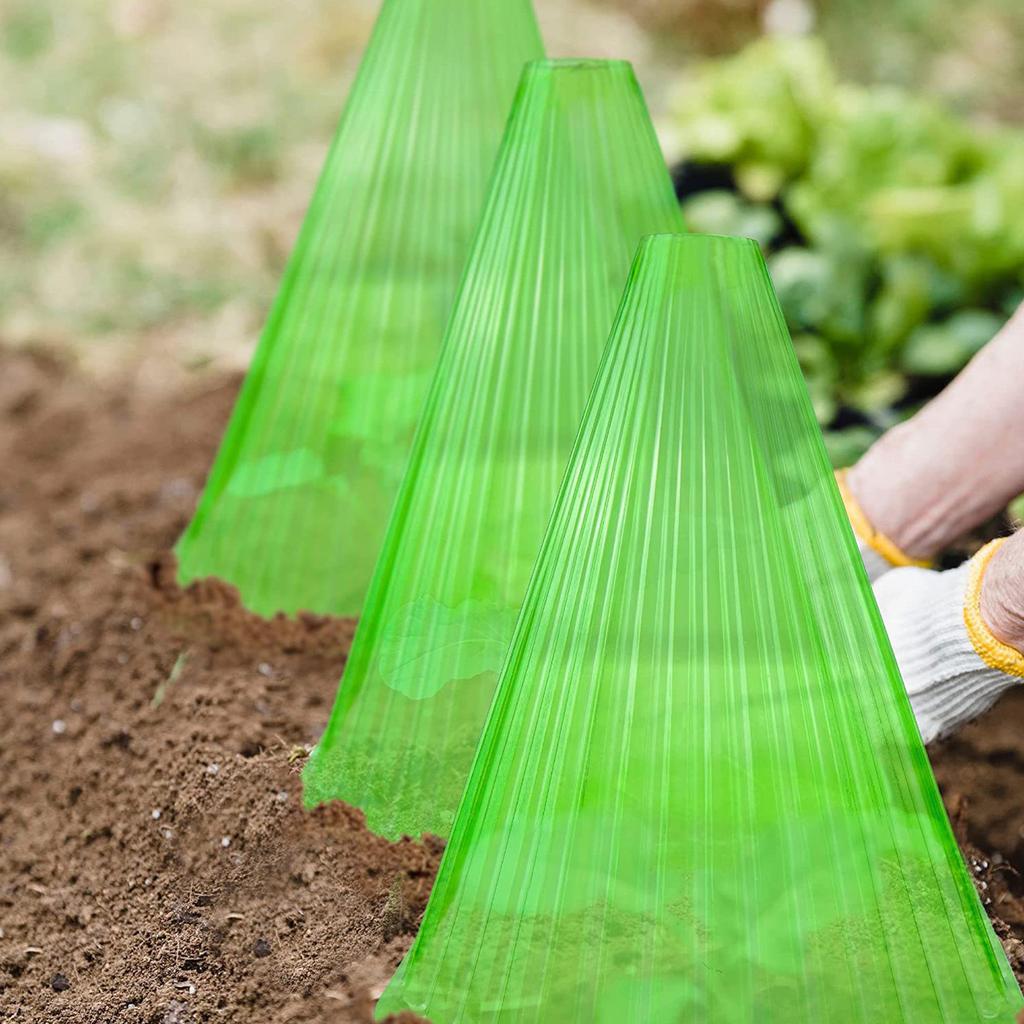 Reusable Square Shaped Bell Jar Protects Plants From Bird Frost And Damage