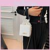 Trendy Women's Shoulder Crossbody Bag With Pleats And Chain Small Size Bucket Shape