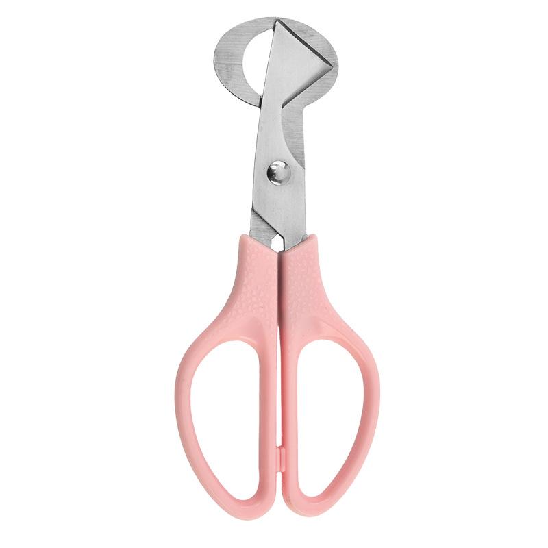 Stainless Steel Quail Egg Opener Scissors - Eggshell Cutter and Kitchen Shears