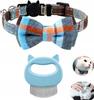 COLLAR FOR CAT, DOG, PUPPY, YORK + 2-in-1 Brush for Combing Fur