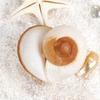 Shell Conch Bread Snail Natural Mediterranean Family Decorations Gifts Aquarium Decorative Christmas Toys Collectibles 5-7c V8Y3