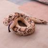 Tricky Prank Python Snake Kids Gift Hand Puppet Snake Toy Animal Plush Doll Snake Stuffed Toys