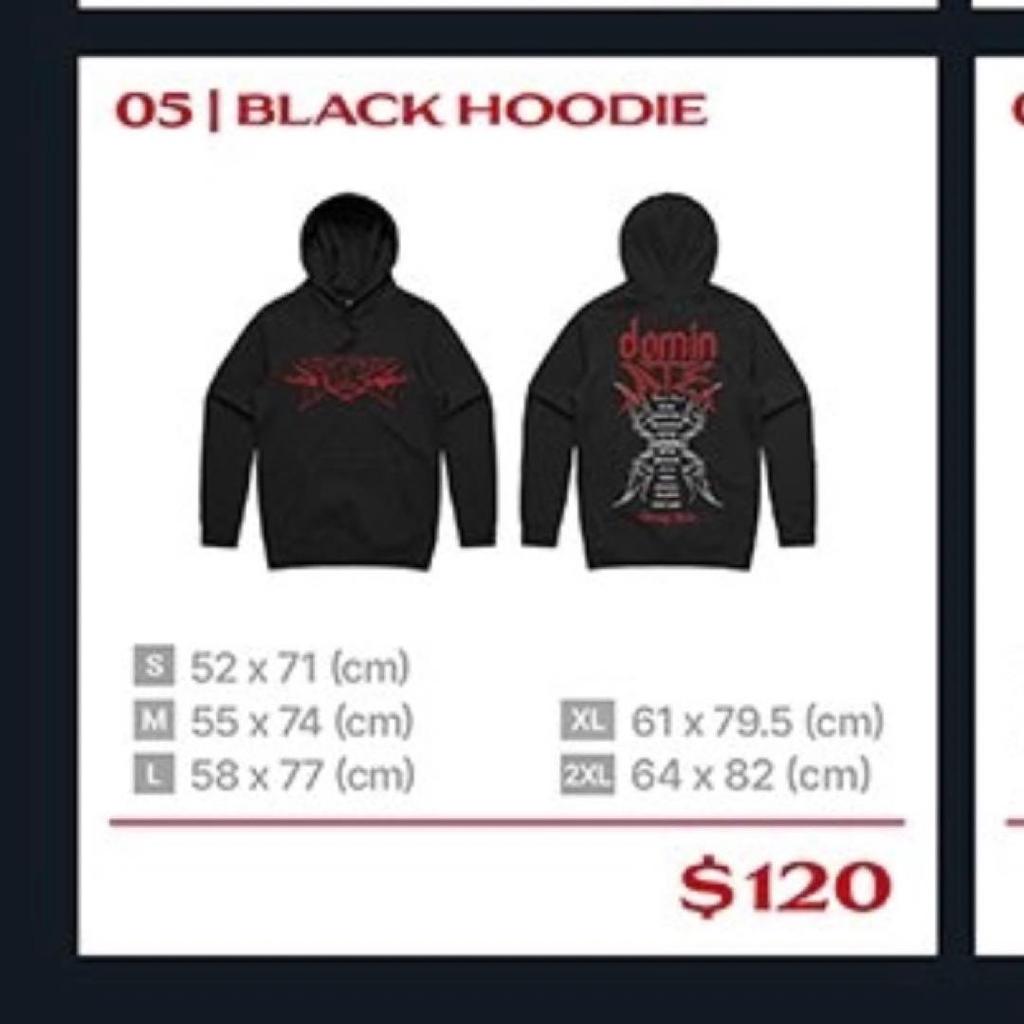 [USED] Stray Kids Hoodie Sydney Australia