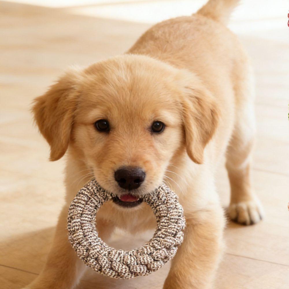 Teeth Cleaning Bite Resistant Dogs Cotton Rope Outdoor Wear Resistant Puppy Rope Knot Indoor Pet Molar Relieve Boredom