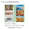 Kokuyo Album Pochette Album Coloree A4 Slim L Size 300 Sheets Orange A-NPV30YR