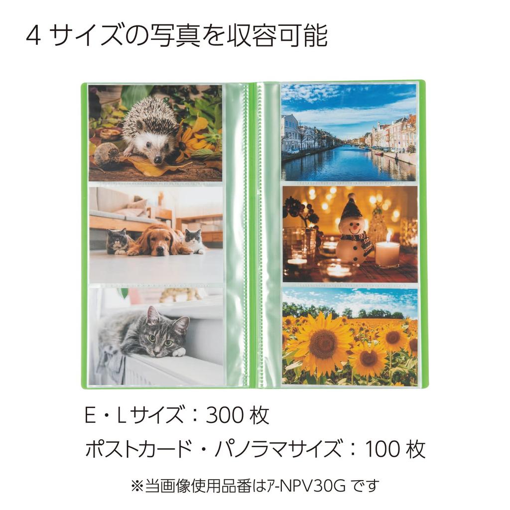 Kokuyo Album Pochette Album Coloree A4 Slim L Size 300 Sheets Orange A-NPV30YR