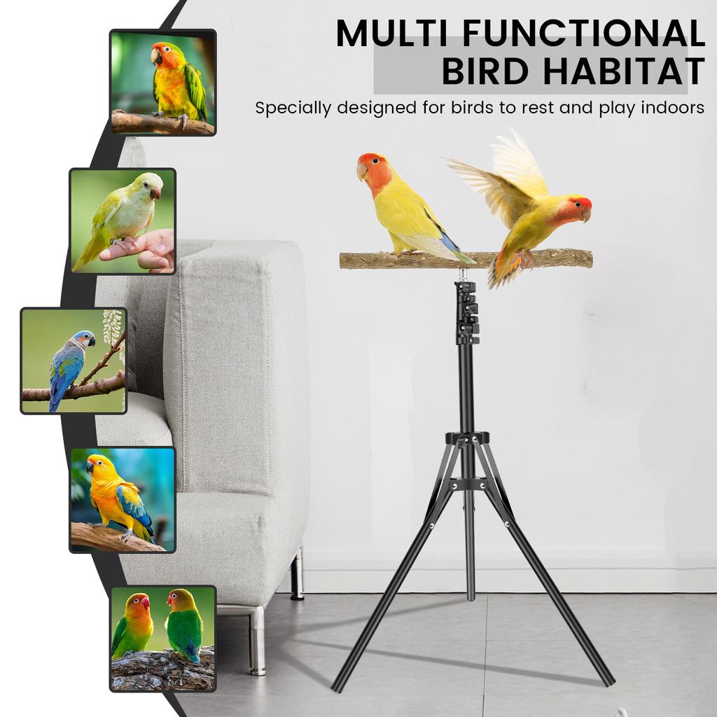 Holz Vogel Trainingssitz Ständer Höhe Verstellbar Vogel Sitzstange Spielzeug Innen Außen Vielseitig Vogel Papagei Spiel Trainingsstation Stange