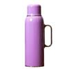 Kesaishi Stainless Steel Tea Thermos with Handle
