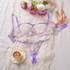 Lace Perspective Lingerie Chest Support Bra Briefs Set T-back Lingerie Suit  Valentine's Day