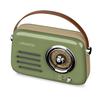 Radio Portable - LEDWOOD - ALMA - FM - Bluetooth - 30W - Vert Olive