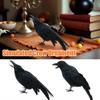 Halloween Schwarze Krähen Gefiederte Krähen Halloween-Dekorationen Sehen schwarze Krähen Große Krähen Raben Realistisch I7S9