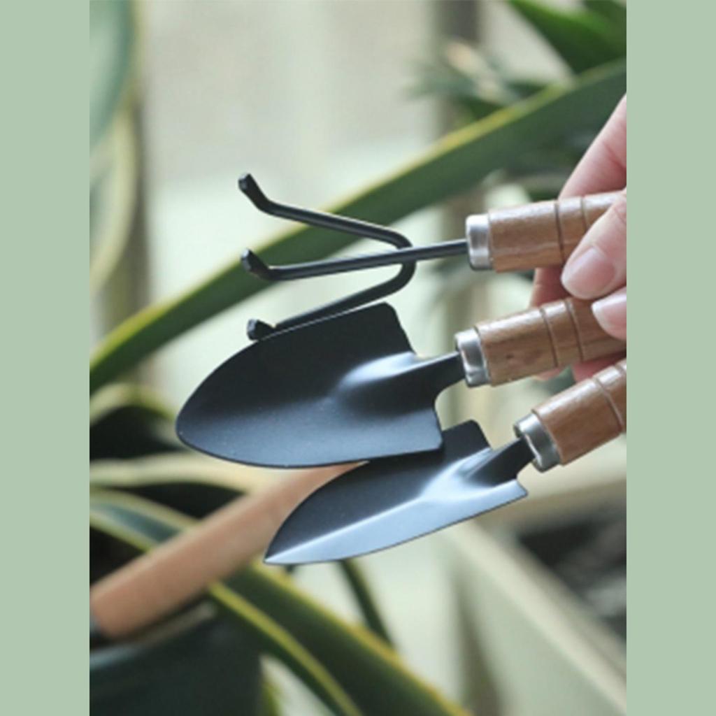 Gartenwerkzeug-Set: 3-teiliges Set für Gemüse, Blumen und Sukkulenten - Enthält kleine Schaufel, Harke und Spaten.