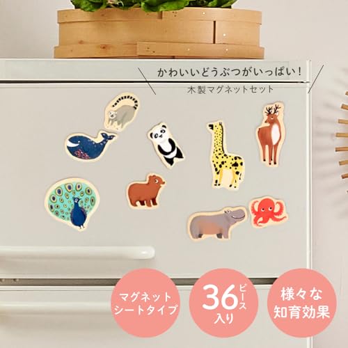 DJECO Magnimo Animal Magnet, Wooden Refrigerator and Whiteboard Magnet, Educational Toy for Ages 2, 3, 4, 5, and 6, Boys and Girls, Toddlers, Baby Gif