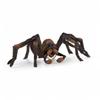 Schleich Harry Potter Serie Aragog 13987