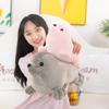 1pcs 23cm Soft Seal Plush Toys Cute Sea World Animal Stuffed Doll Sea Lion Plush Children Gift