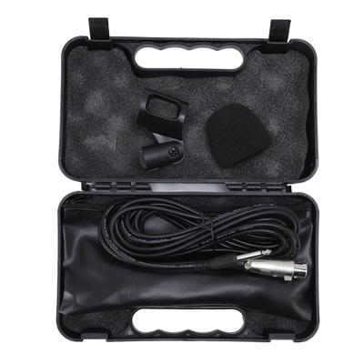 Accessori per audio e video – Microfoni