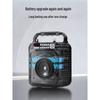 Newmine K522 Portable Bluetooth KTV Speaker with Dual Microphones CN Plug (adapter Included)