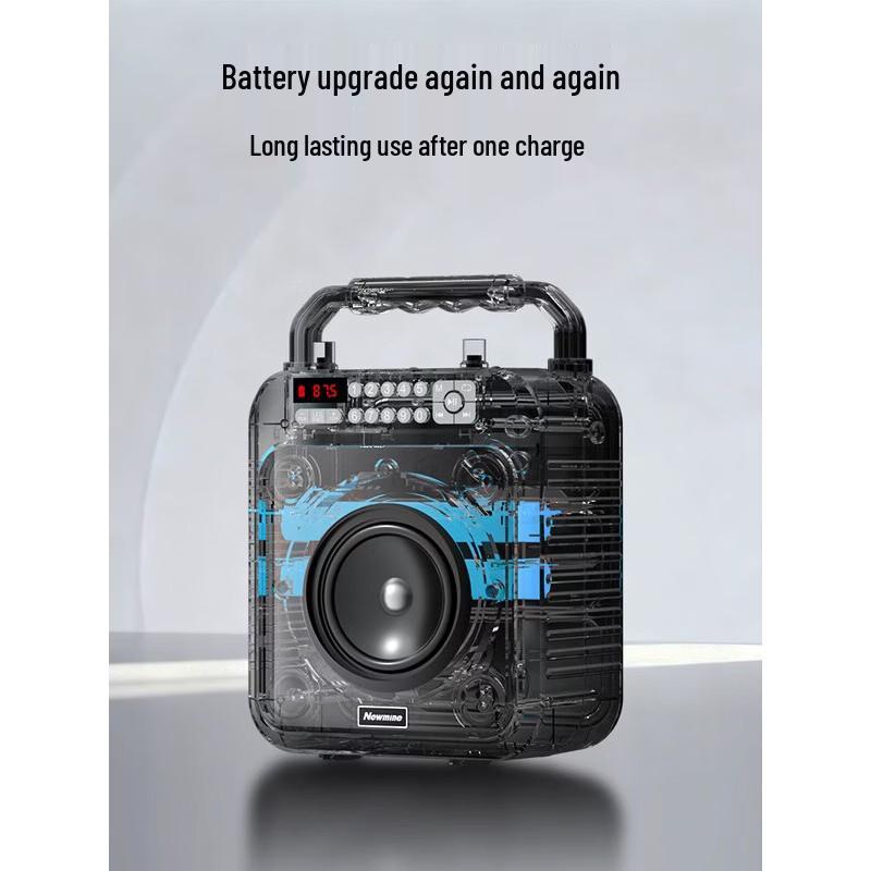 Newmine K522 Portable Bluetooth KTV Speaker with Dual Microphones CN Plug (adapter Included)