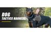 Tactical Anti-Pull Dog Harness & Leash for Medium to Large Breeds - Ideal for Border Collies & Golden Retrievers