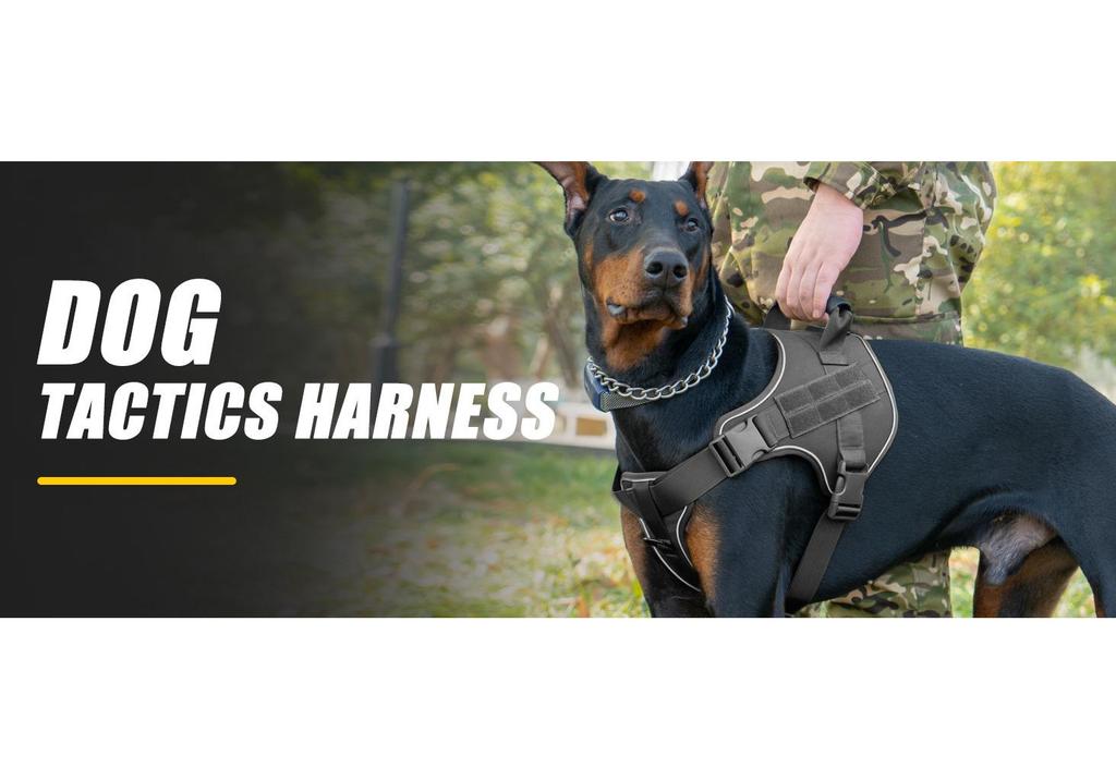 Tactical Anti-Pull Dog Harness & Leash for Medium to Large Breeds - Ideal for Border Collies & Golden Retrievers