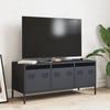 VidaXL Meuble TV anthracite 101,5x39x43,5 cm acier laminé à froid, support TV, buffet TV, armoire hifi, banc TV, armoire en 851228